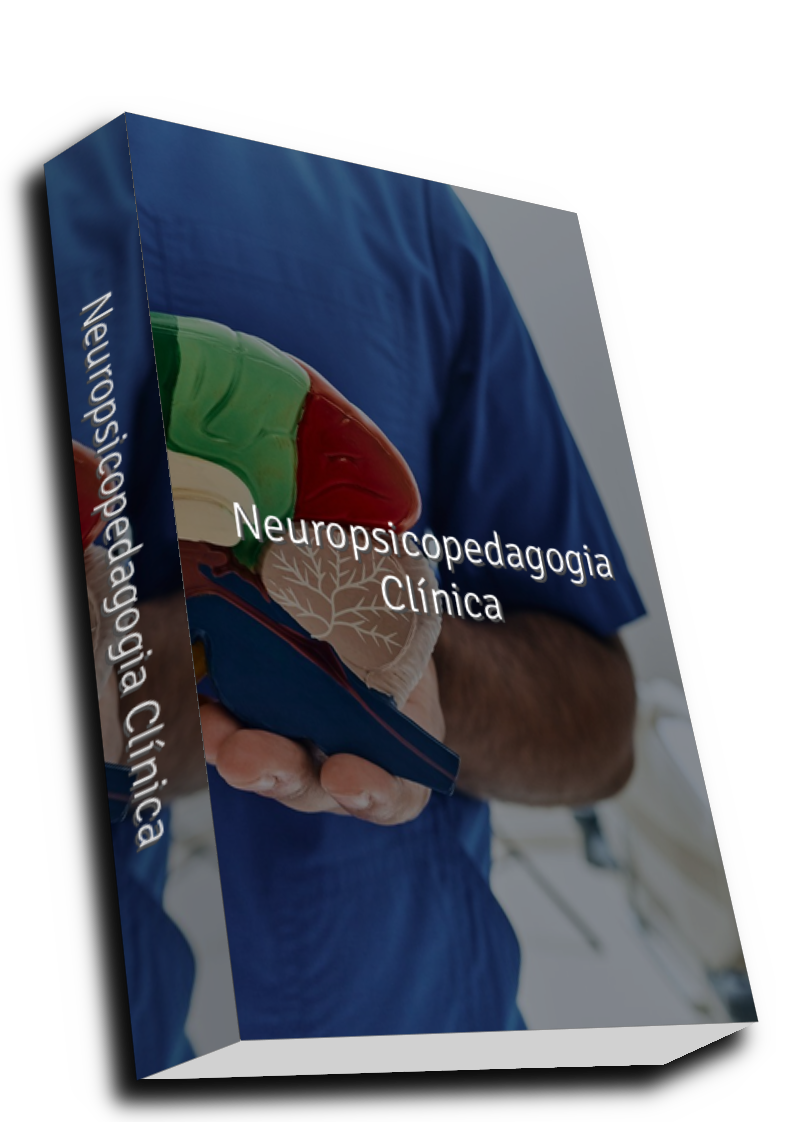 Neuropsicopedagogia Clínica